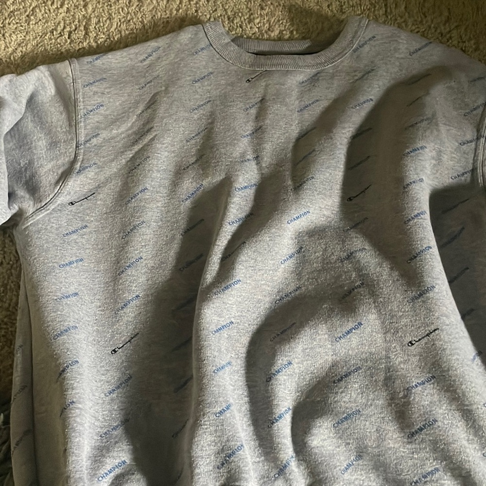Gray Champion sweatshirt